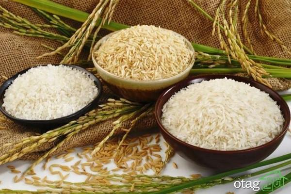 آقای برنج: برترین انتخاب برای خرید آنلاین انواع برنج ایرانی آقای برنج: برترین انتخاب برای خرید آنلاین انواع برنج ایرانی