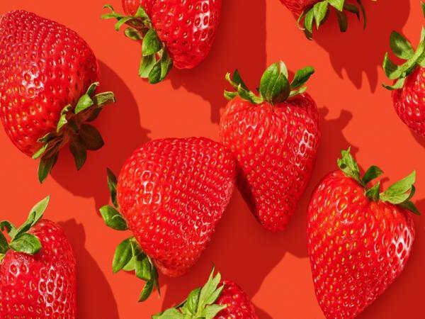 46 نکته دربار برترین روش های نگهداری توت فرنگی برای مدت طولانی 46 نکته دربار برترین روش های نگهداری توت فرنگی برای مدت طولانی